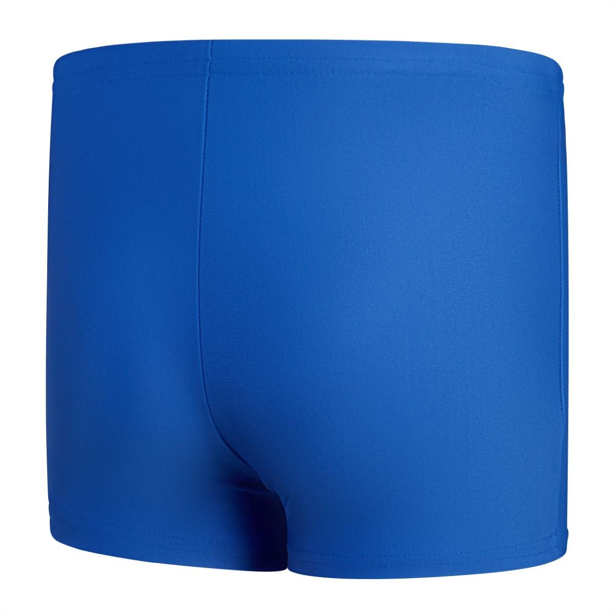 Speedo Boys Placement Aquashort - Cobalt / White-605480
