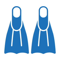 Training Fins
