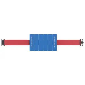 Speedo Aqua Fitness Belt - Blue / Red